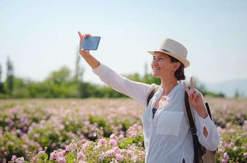 woman enjoying the aroma and make photo in her smartphone in Field of Damascena roses in sunny summer day . village Guneykent in Isparta region, Turkey a real paradise for eco-tourism.