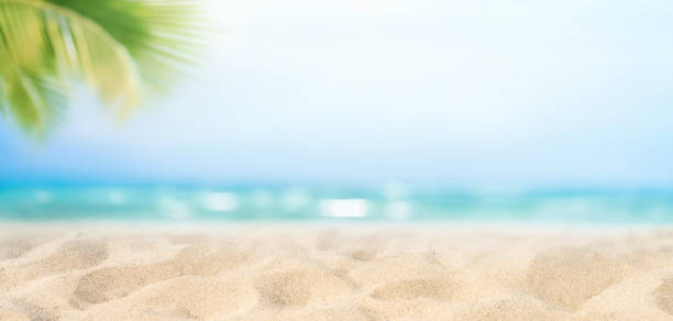 istock Beautiful wide format background image on the theme of summer holidays. 1582770290
