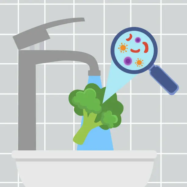Vector illustration of Washing vegetables before cooking concept vector illustration. Housewife cleaning vegetables with a lot of water.