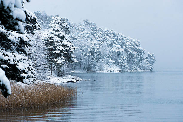 istock Sweden Winter Lake 158279174