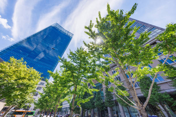 istock Beautiful blue sky and city buildings 1582802391