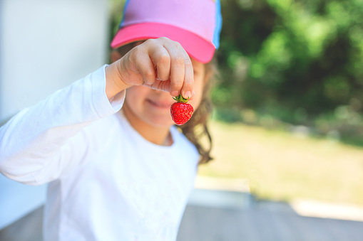 Little girl holds strawberry with her fingers. Healthy eating and lifestyle. Pesticides in food