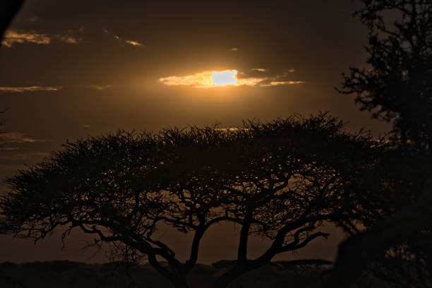 istock Red sunset in Africa 1582807702