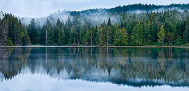 istock Perfect Reflection of Misty Forest in Lake 158281021