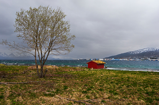 nature sceneries along the Vesteralen scenic route during a rainy springtime day