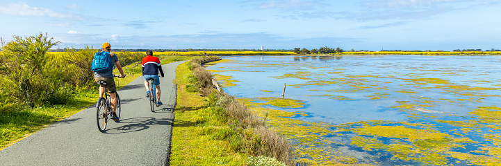 Tourists cycling in the salt marshes of the Lilleau des Niges nature reserve on the Ile de Ré in France