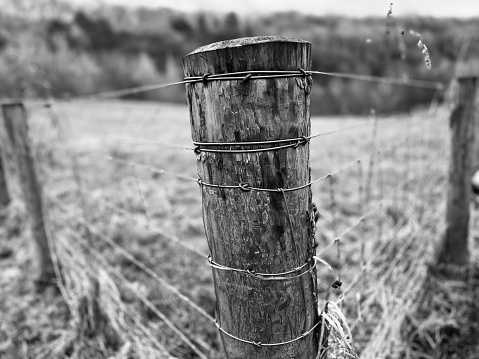 A wooden post and wire fence