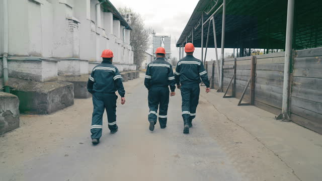 Engineers walk around the territory and communicate. Rear view. Employees of the company in special clothes and protective jackets inspect the territory of the enterprise.