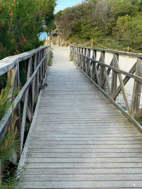 istock footpath to the sand beach Platja de Muro, Mallorca, Spain, 1582895764