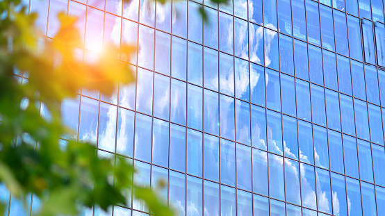 Reflection of modern commercial building on glass with sunlight. Eco architecture.