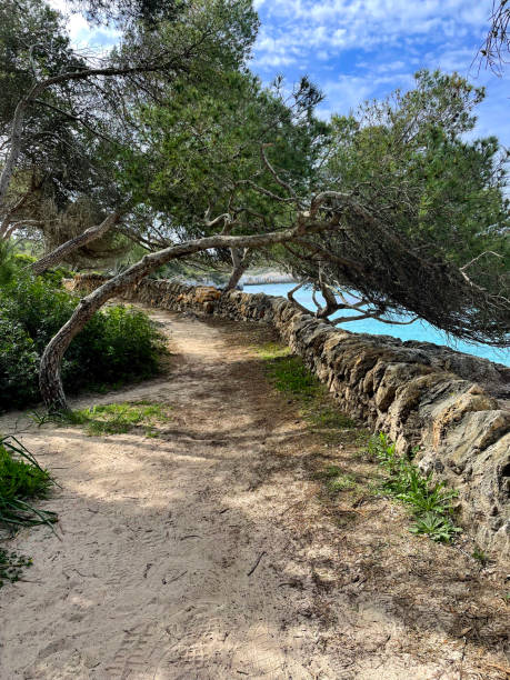 istock Mondrago Nature Park, Mallorca, Santanyi, Spain 1582903486