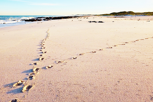 Their paths crossed: footprints of two people meet and diverge on an idyllic beach beside the sea