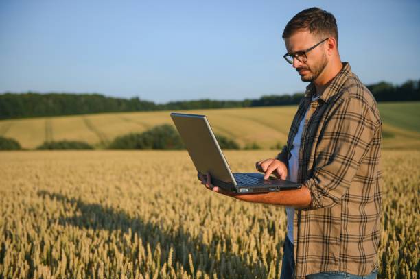 istock Farmer examining crops crouching in wheat farm 1582926940
