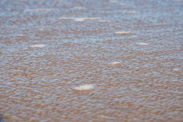 istock A thin layer of clear water over the sand. A seaside or ecology-themed background with clear sea water over a sandy bottom. 1582936842