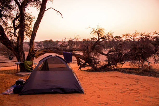 istock A solitary tent 1582959198