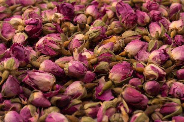 istock Dry tea roses isolated on white background. 1582974503