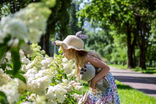 帽子をかぶった女の子がアジサイの庭を歩く - single lane road footpath flower formal garden ストックフォトと画像