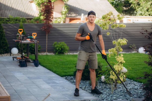 istock the gardener uses a rake to level decorative stones 1582984449