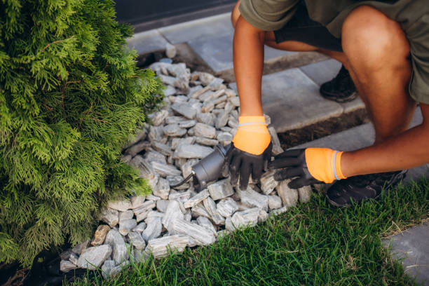 istock Decorative ground in the garden with artificial grass, gravel and explsed aggregate finish 1582984454