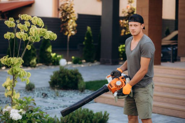 istock Worker on a street in autumn with a leaf blower 1582984471