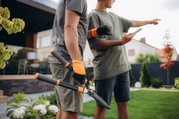 Hands with garden shears cutting a hedge in the garden.