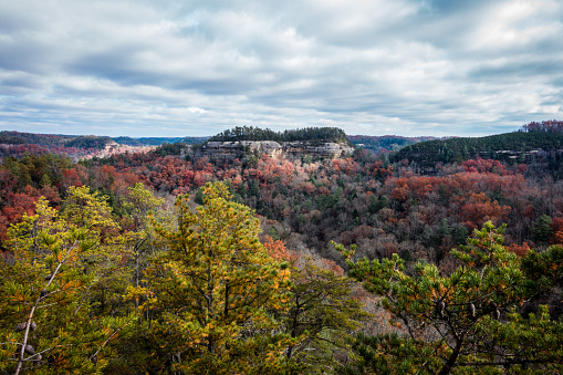 Caesars Head State Park in upstate South Carolina during the fall. Notice the telescope to view the counties of Greenville and Pickens and Table Rock Mountain.