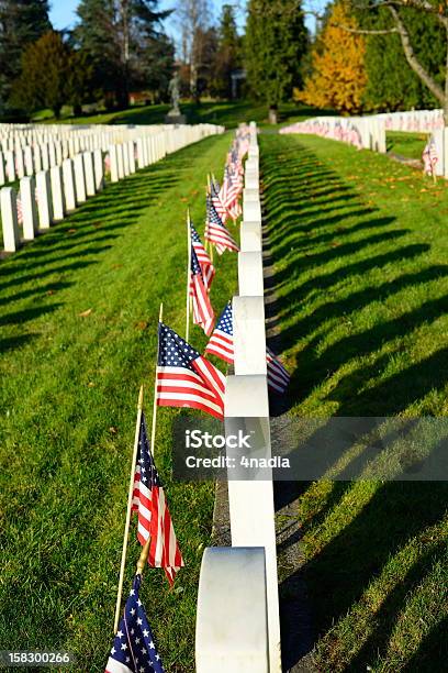 Us Memorial Day Stock Photo - Download Image Now - Blue, Cemetery, Day