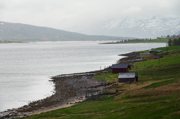 istock Vesteralen islands landscape during springtime 1583018486