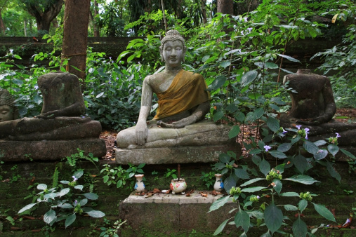 At Wat Au-Mong, Chiangmai, Thailand