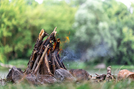 Close up of burning brushwood campfire on forest ground on blurred background of trees and grass, copy space.