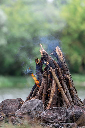 Close up of burning brushwood campfire on forest ground on blurred background of trees and grass.