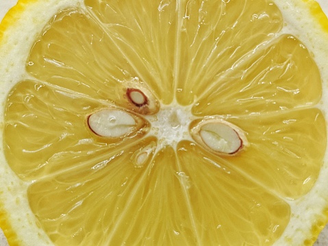 Lemon background