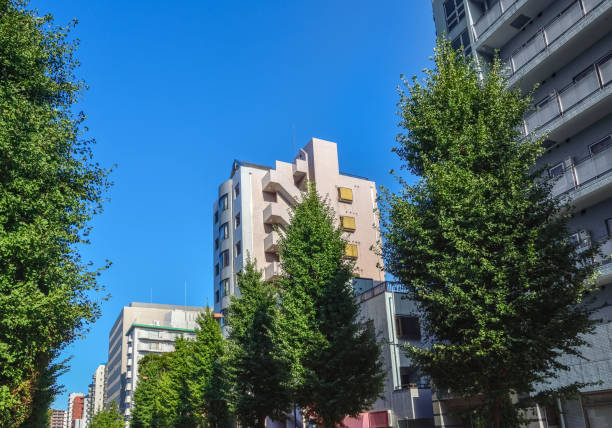 istock Housing complexes and blue sky. Tokyo Japan. 1583051815