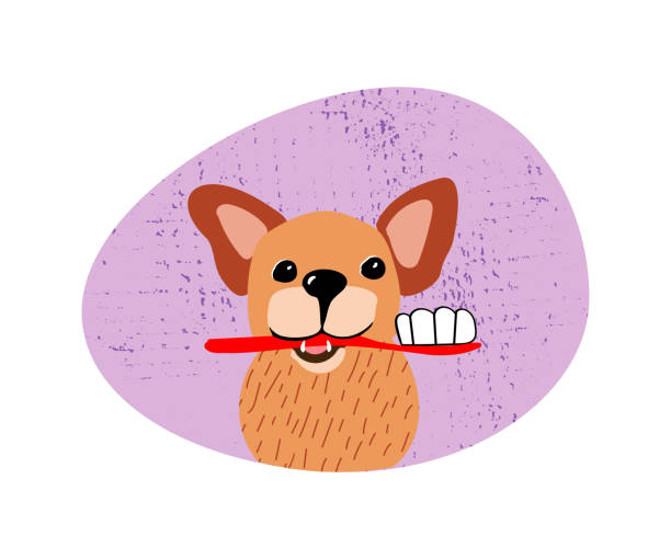 160+ Dog Dental Disease Stock Illustrations, Royalty-Free Vector