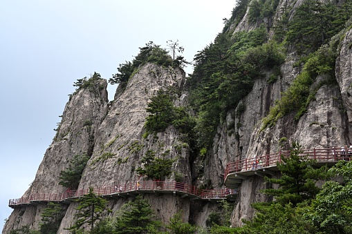 The Laojun Mountain, Luanchuan County, Luoyang City, Henan Province.\nLaojun Mountain is the main peak of the eight hundred li Funiu Mountain range in the rest of the Qinling Mountains, with an altitude of 2217 meters. It was formed in the continental mountain building movement 1.9 billion years ago. In the thirty-one year of Wanli (1603), Emperor Shen of the Ming Dynasty decreed that Laojun Mountain was \