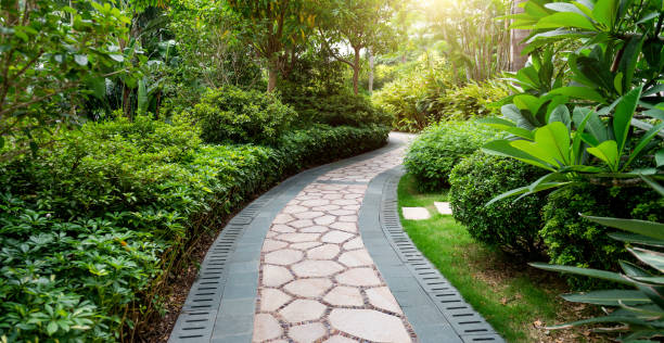istock Beautiful stone garden path during day time 1583074434