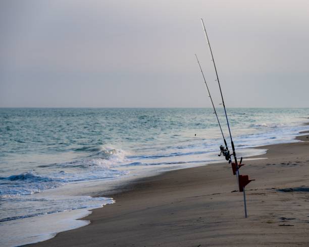 istock Fishing on Emerald Isle in North Carolina, Atlantic Ocean 1583117857