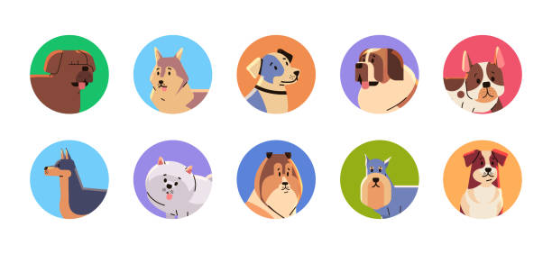 ilustrações, clipart, desenhos animados e ícones de feliz cartão de felicitações do dia nacional do cão definir diferente bonito doggy feriado de animais domésticos conceito - mating ritual