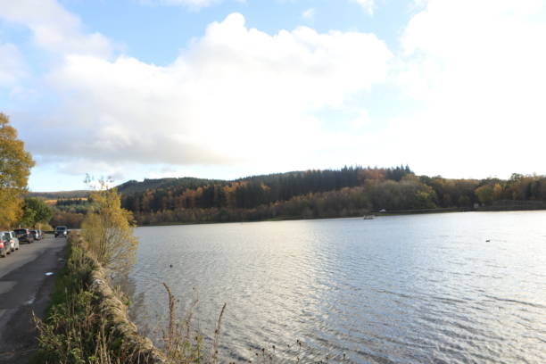 istock views of Langley Reservoir 1583147032