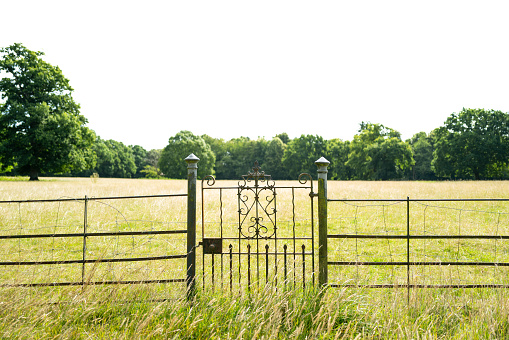 Ornate georgian period wrought Iron gate seen at the entrance to a large grass field using for grazing sheep.