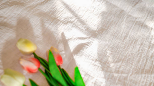 istock Tulip with Fabric backdrop White linen canvas crumpled natural cotton fabric Natural handmade linen top view background Organic Eco textiles White Fabric texture 1583175733