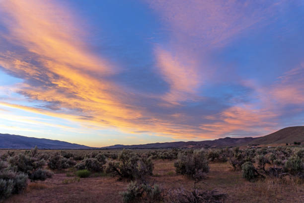 Sunset Background Reno Nv 5,000+ Reno Nevada Stock Photos, Pictures & Royalty-Free Images - iStock