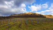 Mikulov - Holy hill view through vihonrady to the hill which is illuminated by beautiful light with blue sky with dramatic clouds