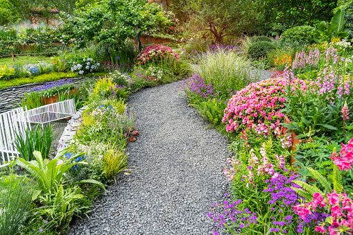 Beautiful garden, lawn with green grass