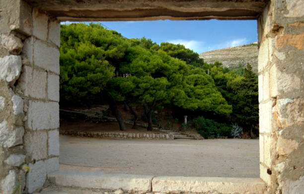 view of the ancient wall overlooking a pine forest