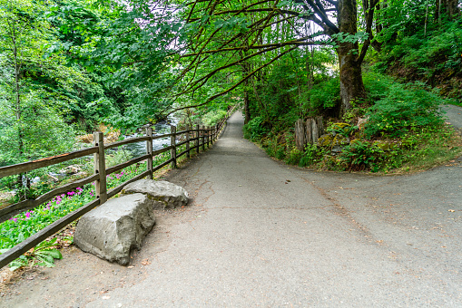 A path follows the river at Tumwater Falls park in Washington State.