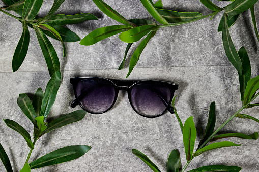 Branch with fresh green Ruscus leaves with Round Glasses Women and sunglasses above marble background