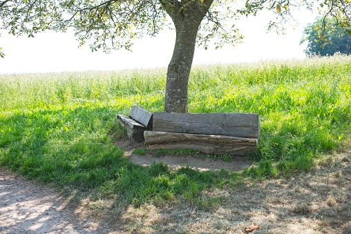 Wooden public bench with a stone wall behind.