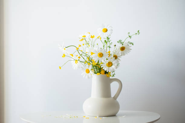 istock wildflowers in white jug on white background 1583237041