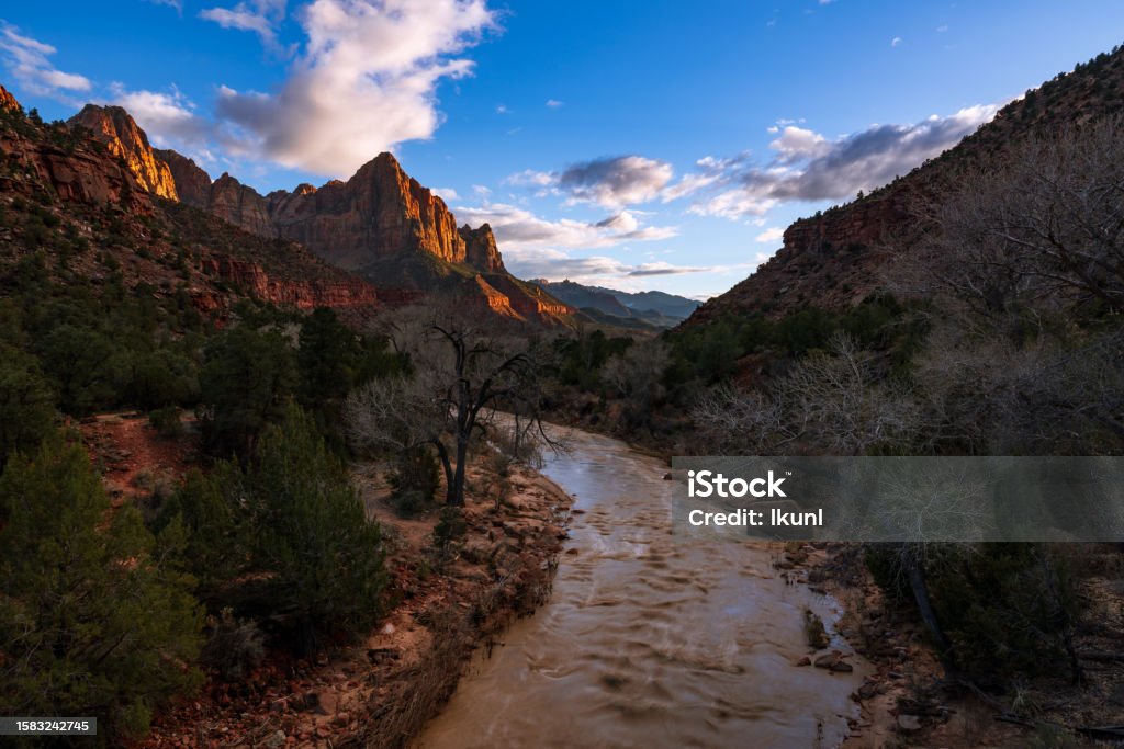 Watchman viewpoint landscape during sunset, Zion National Park, Utah, USA Zion National Park Stock Photo